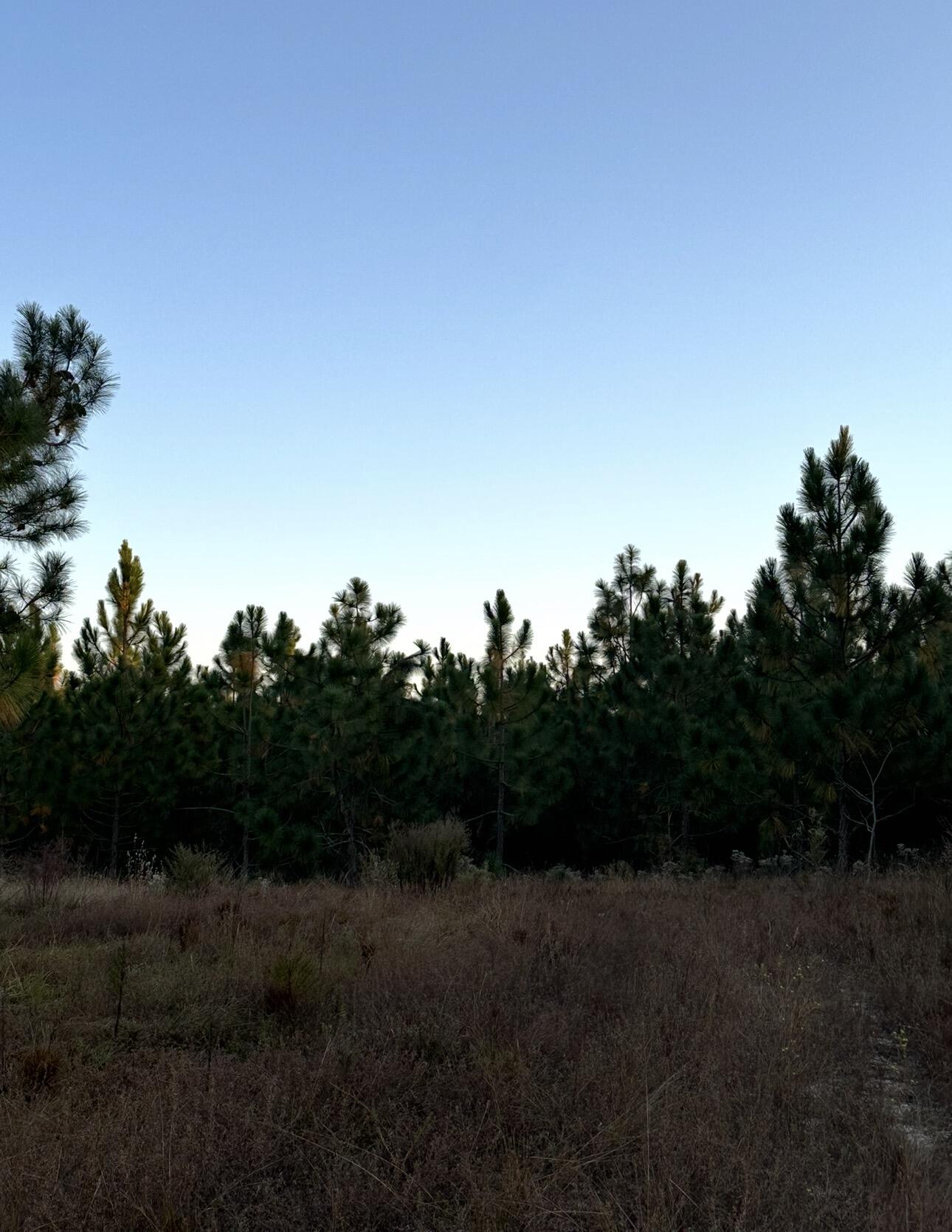 Lot 24 Snipes Pond
