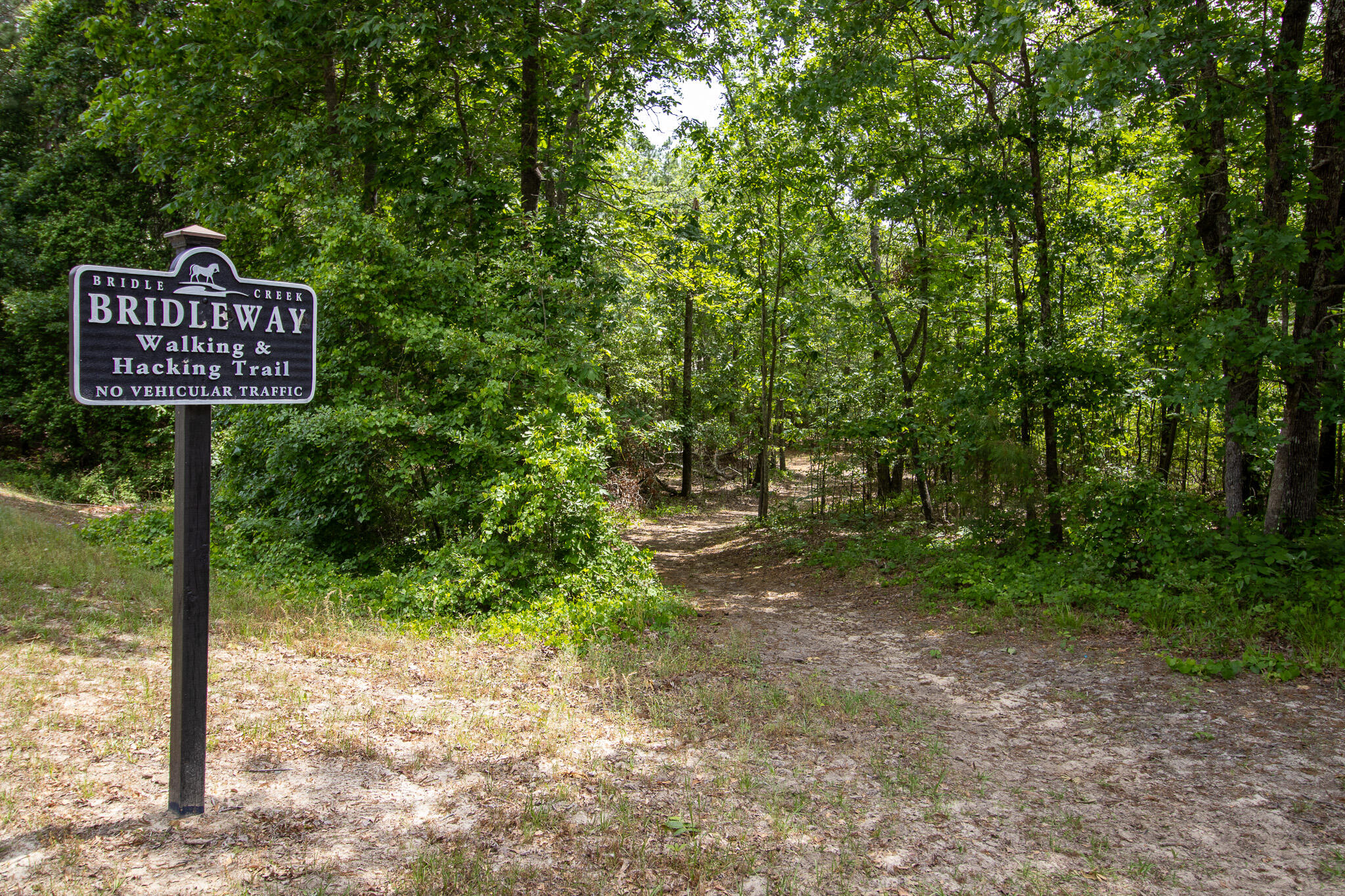 8423 Covert Drive