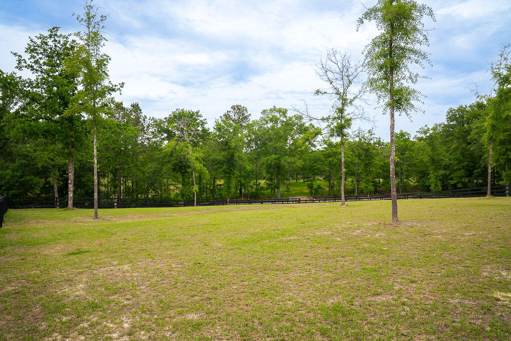 227 Bridle Creek Trail