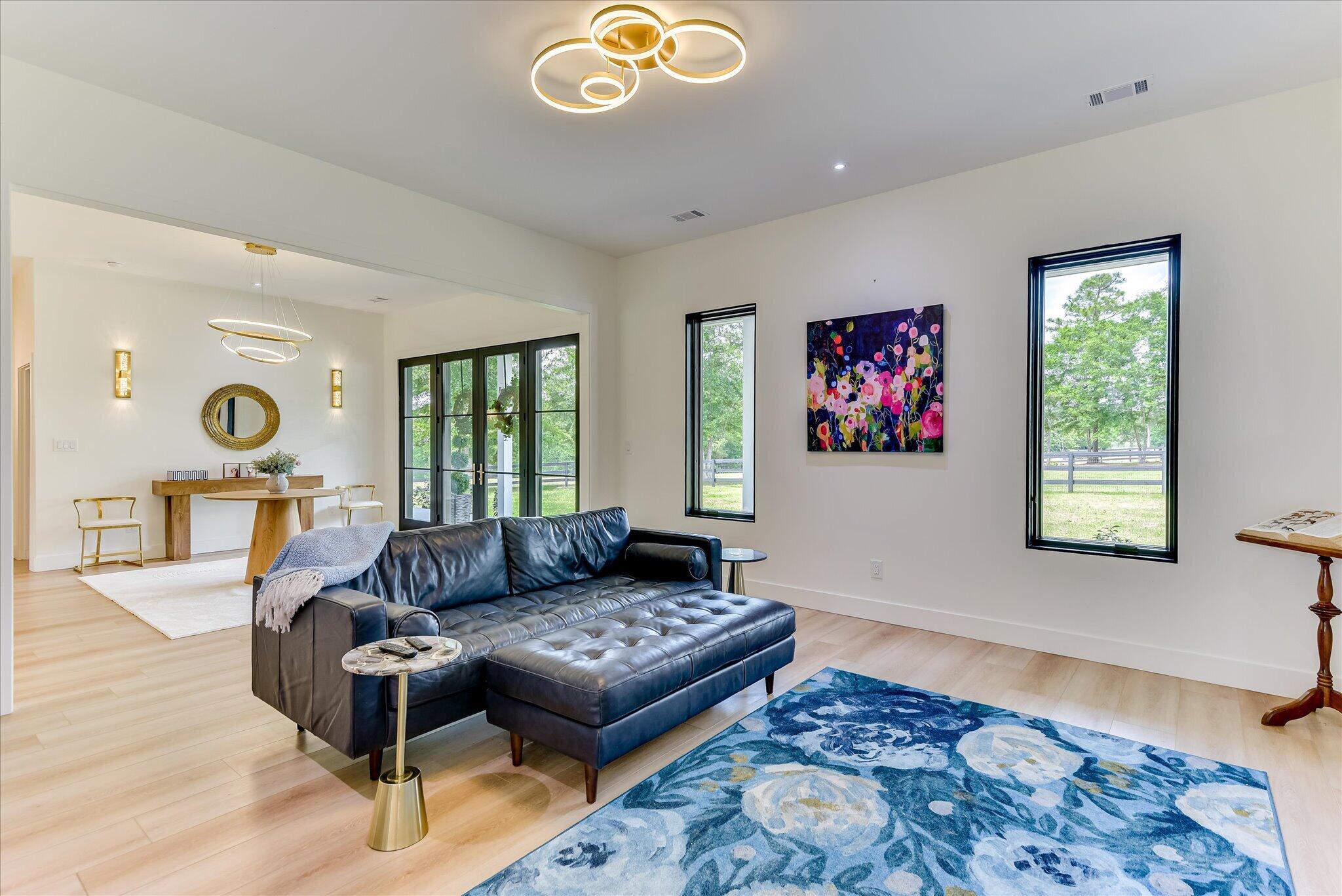 230 Meadows Ridge Court