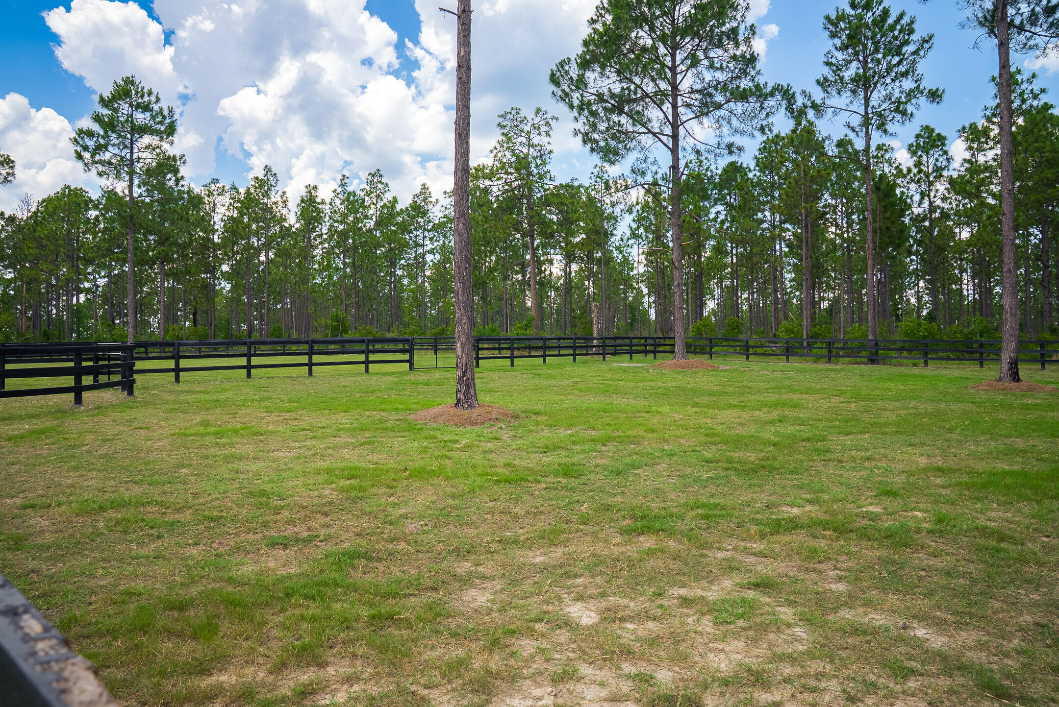 8285 Covert Drive