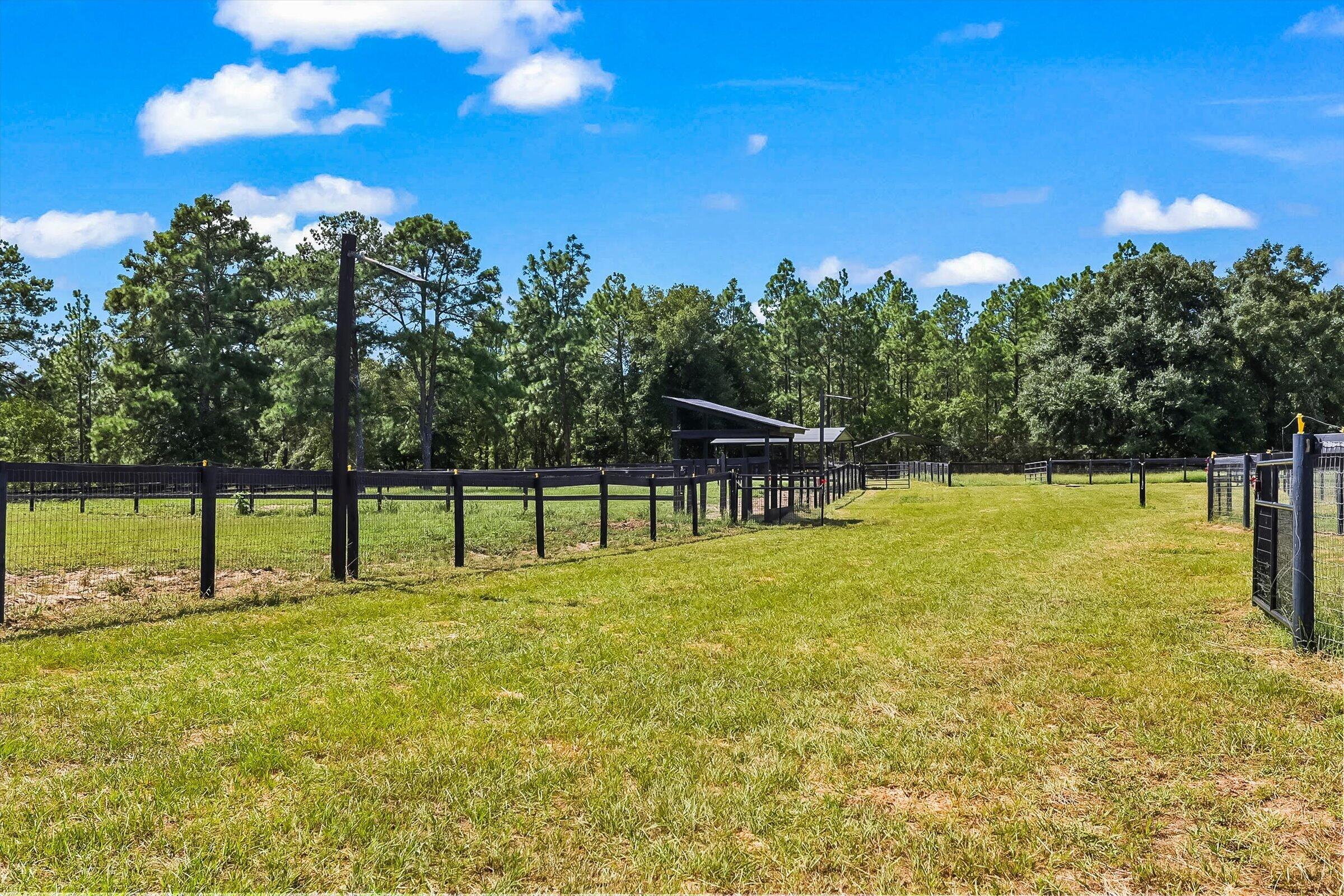 613 Dressage Court