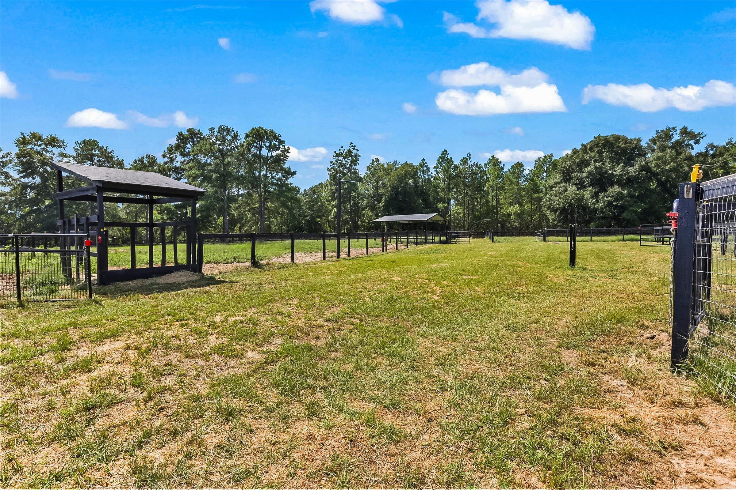 613 Dressage Court