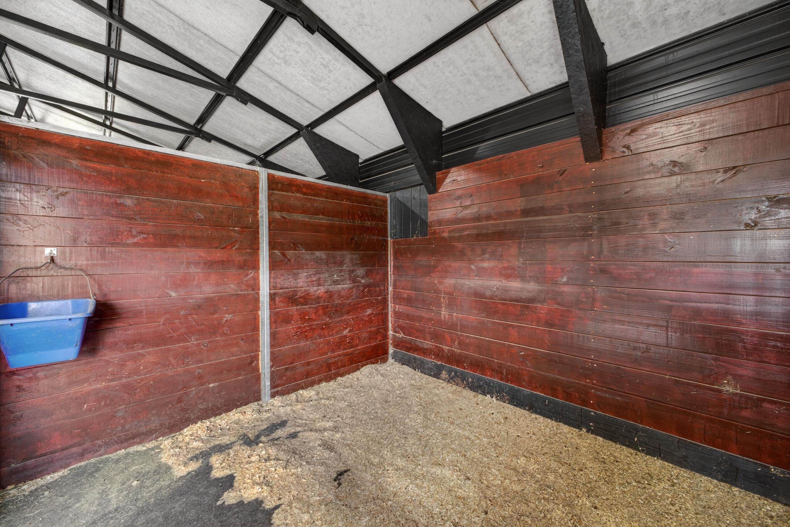 613 Dressage Court
