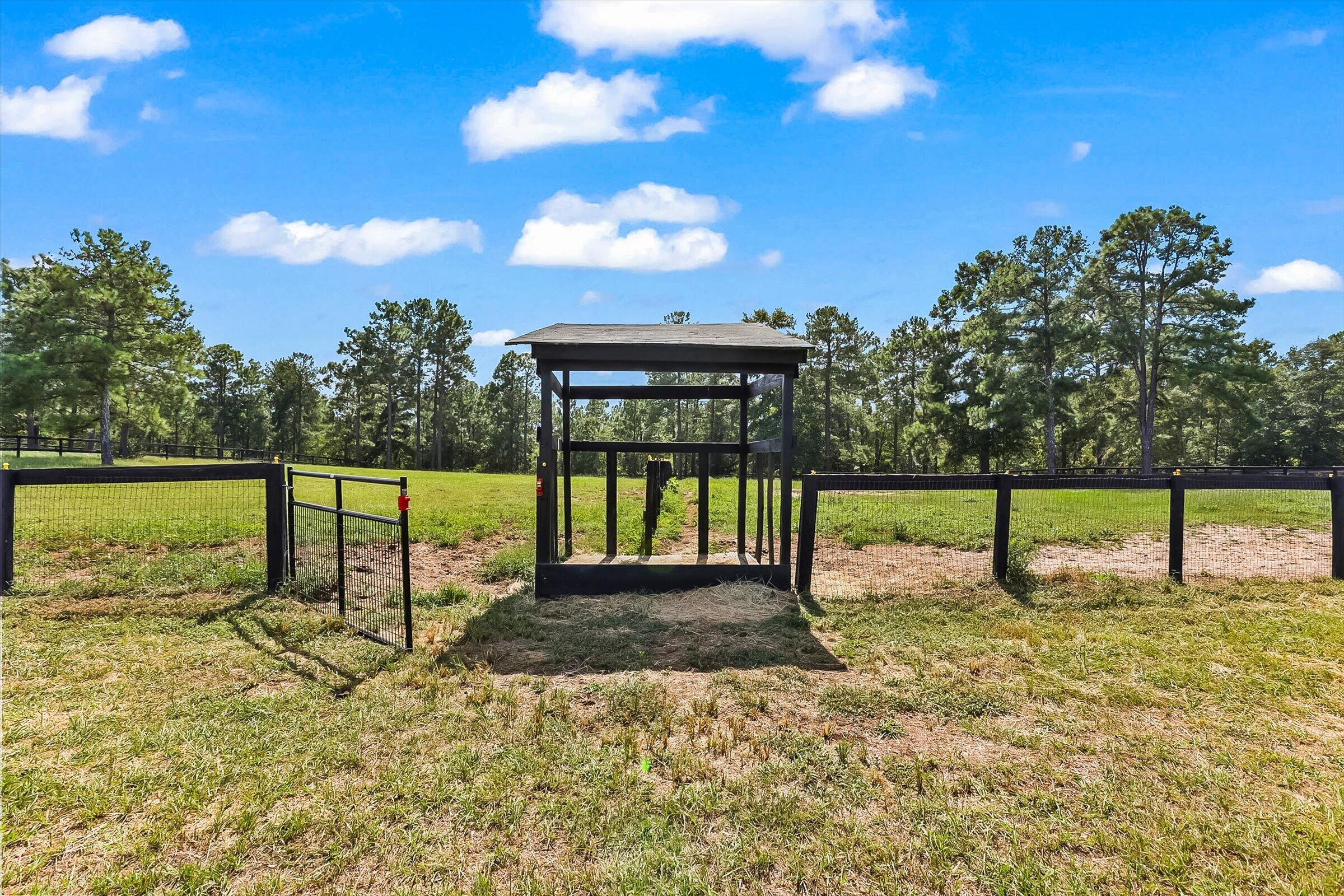 613 Dressage Court