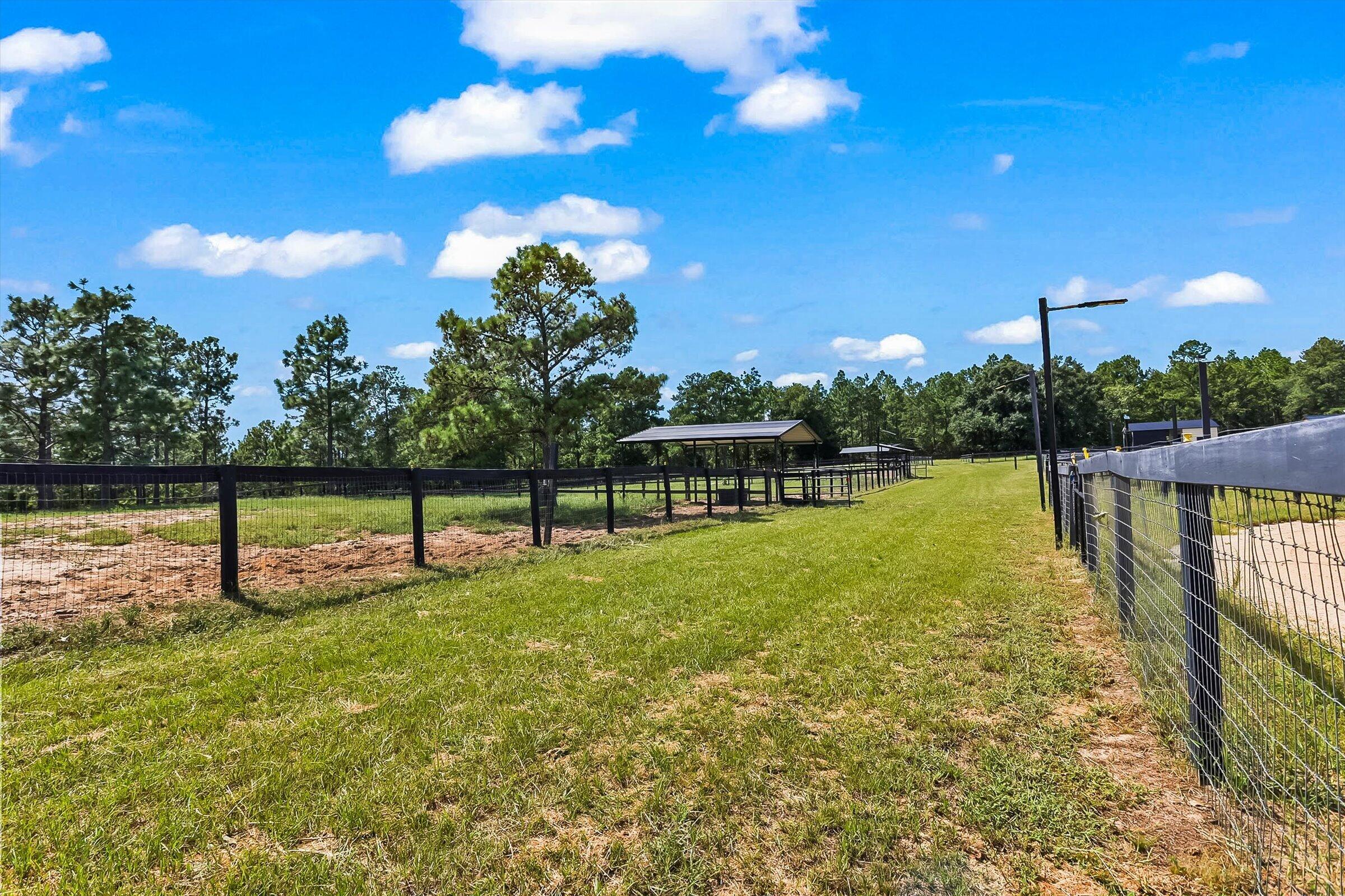 613 Dressage Court