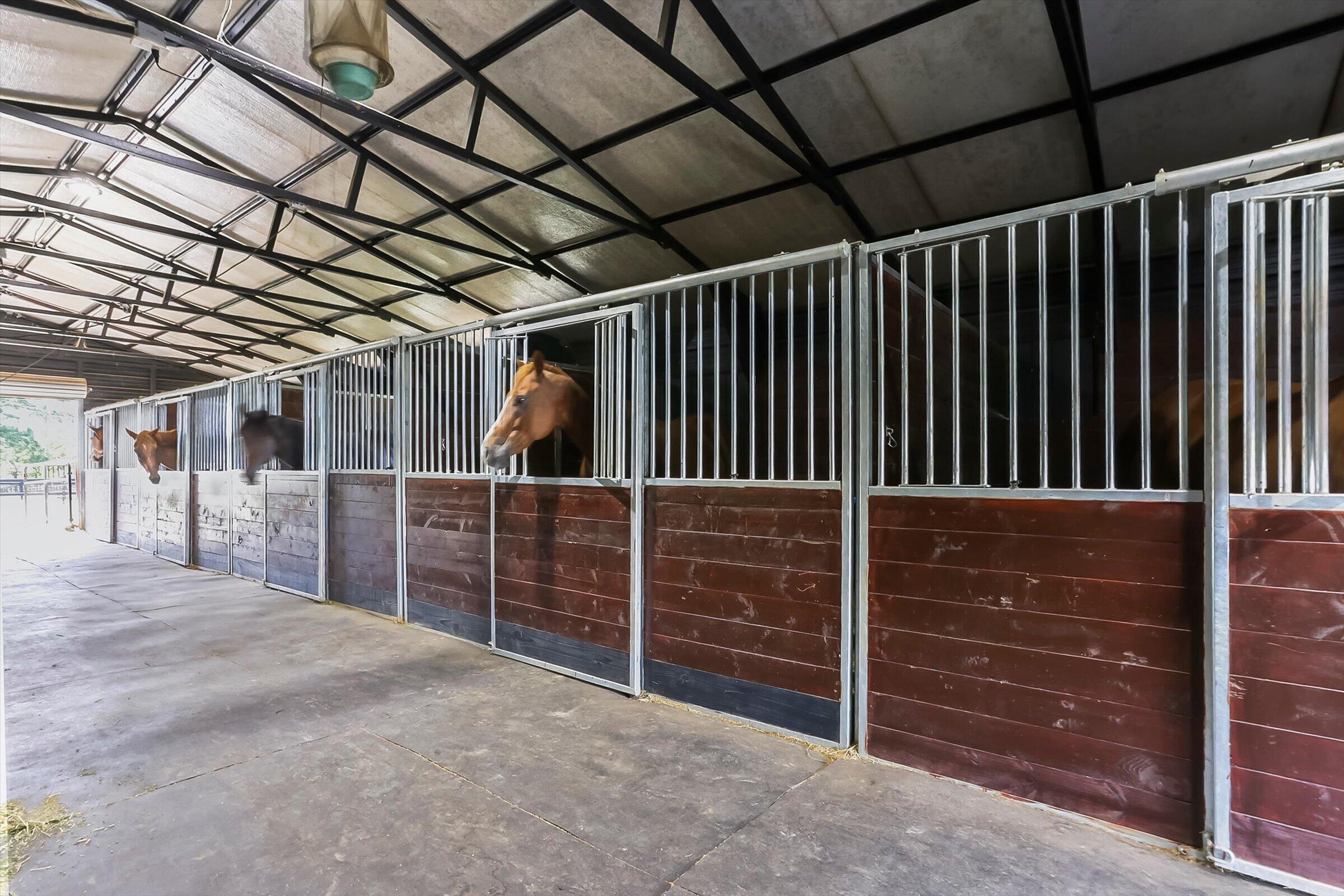 613 Dressage Court