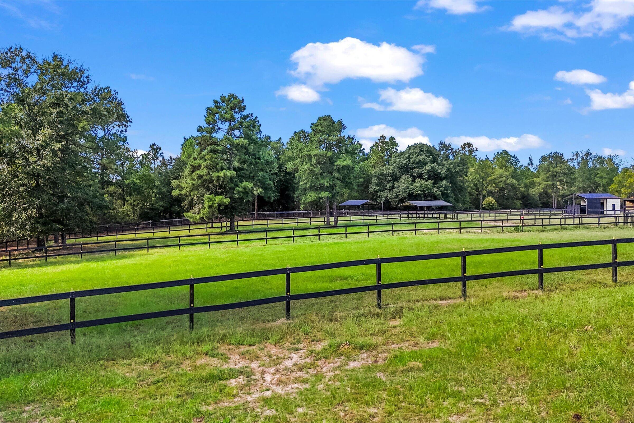 613 Dressage Court
