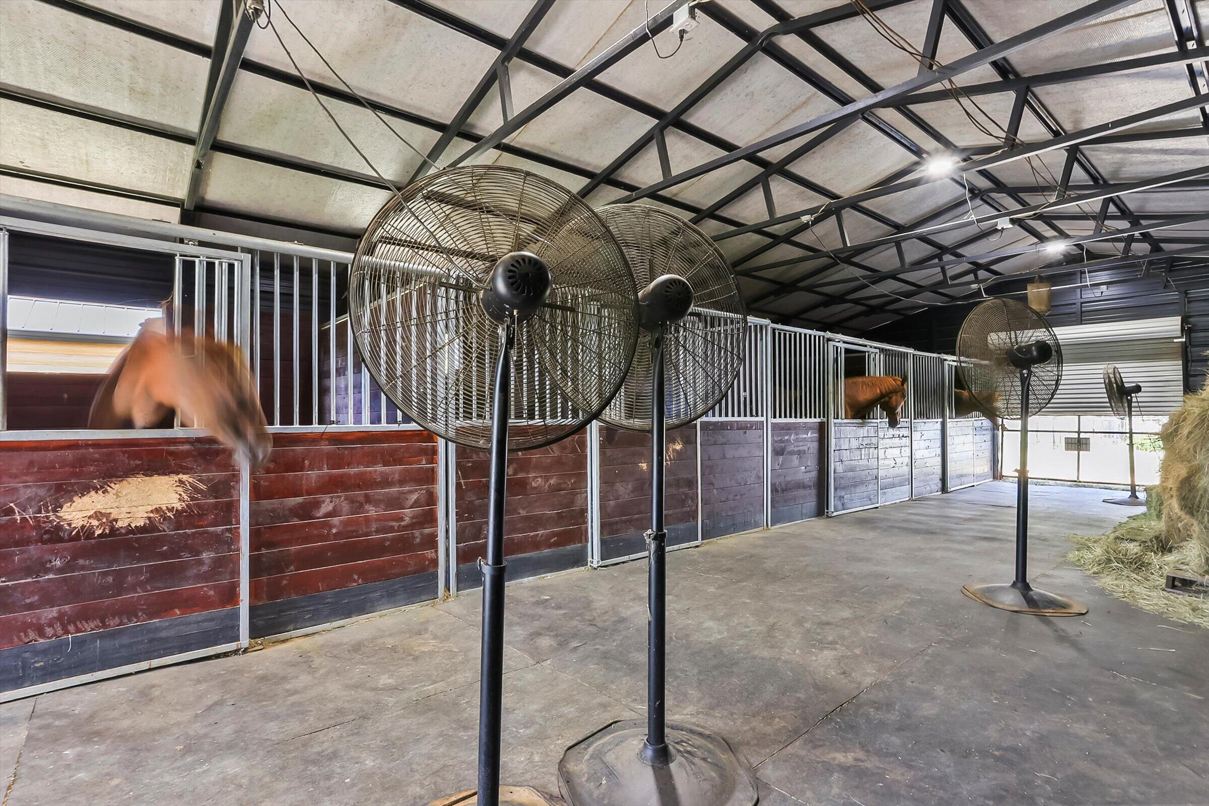 613 Dressage Court