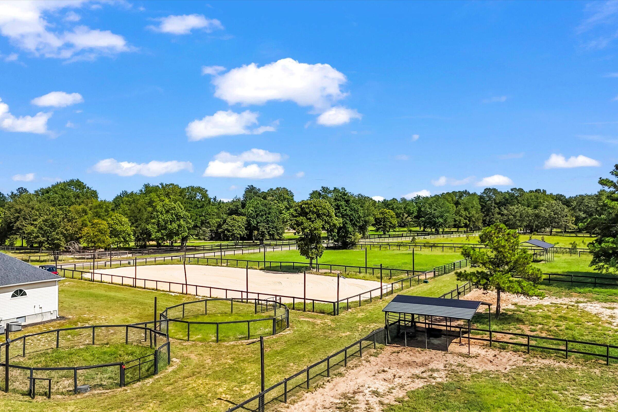 613 Dressage Court