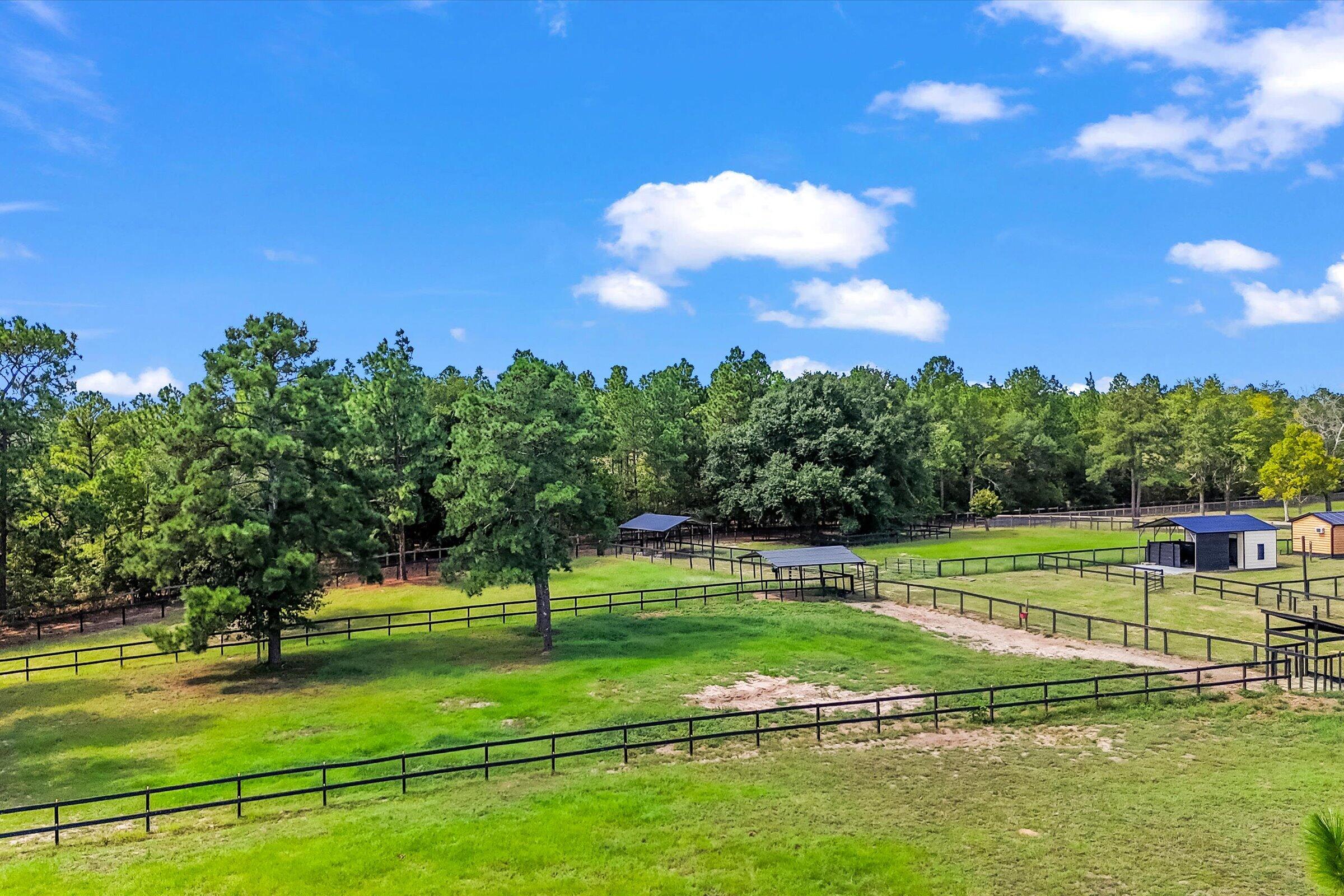 613 Dressage Court