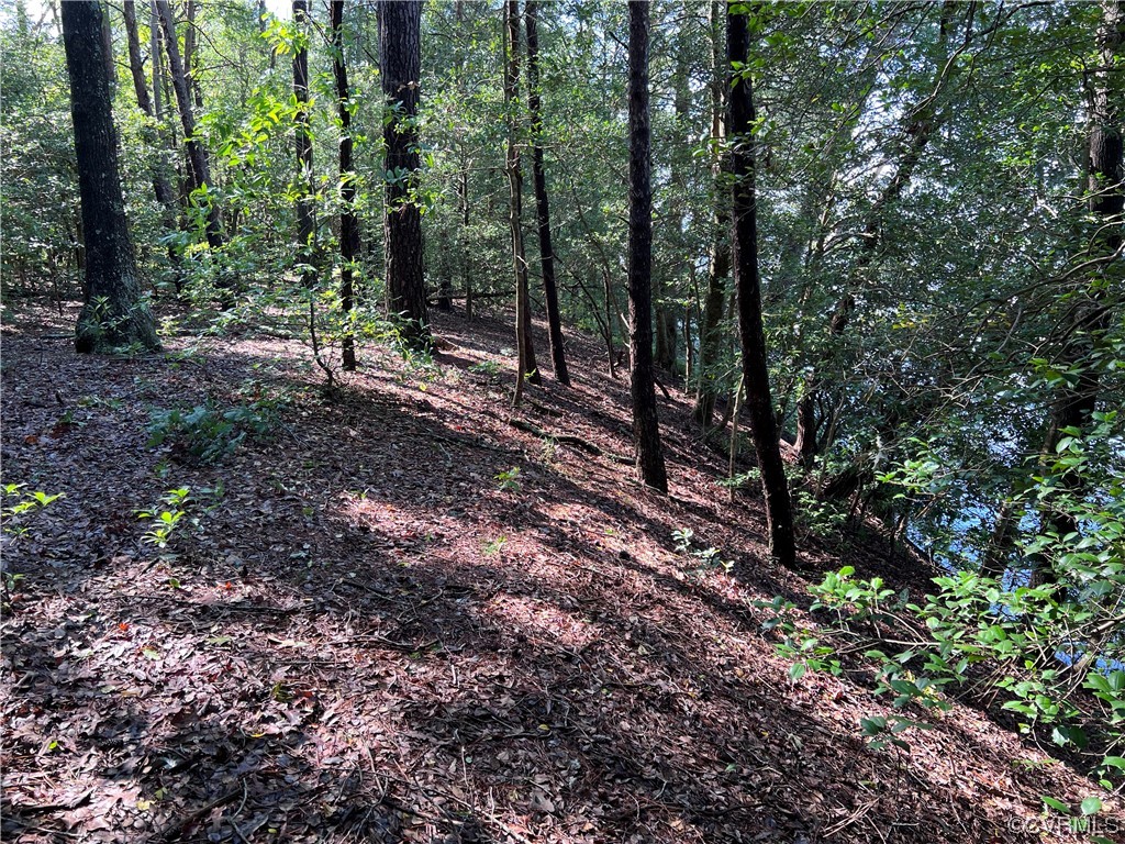 0 Grass Creek Trl
