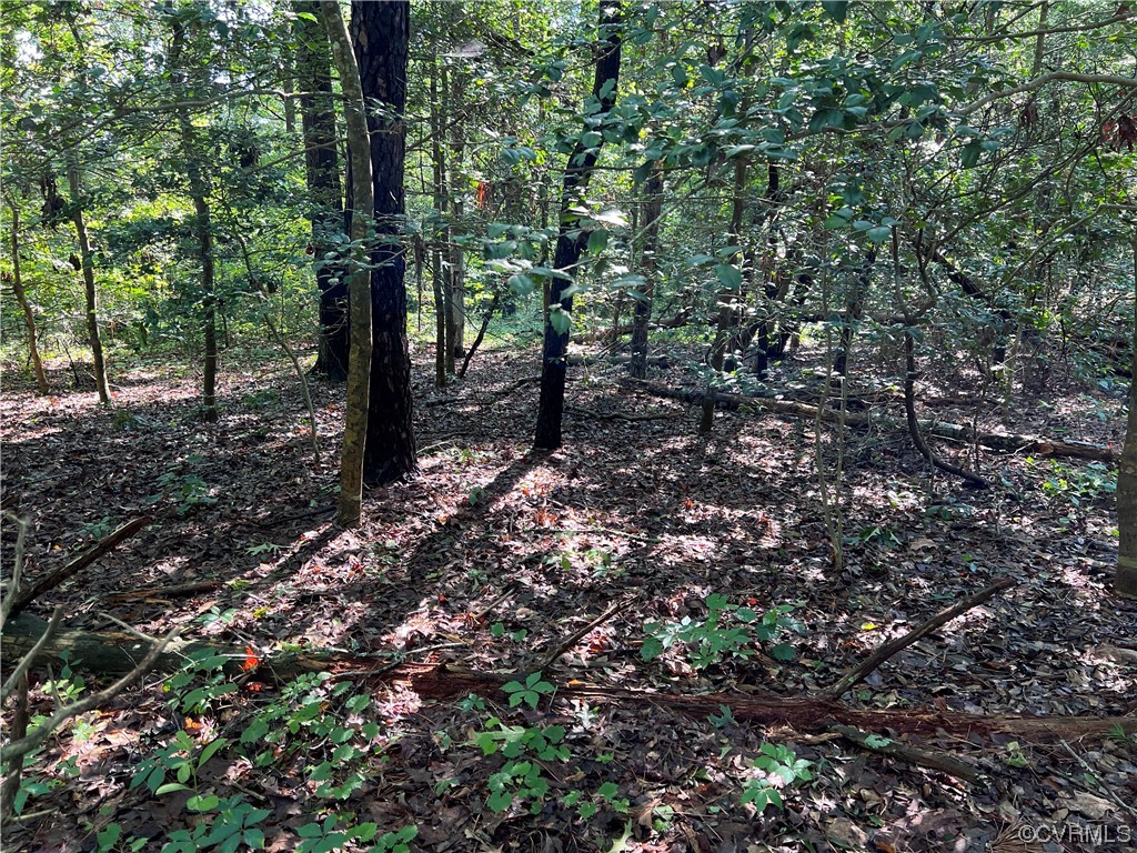 0 Grass Creek Trl