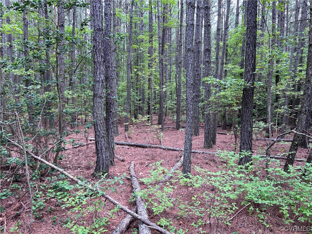 0 E River Rd