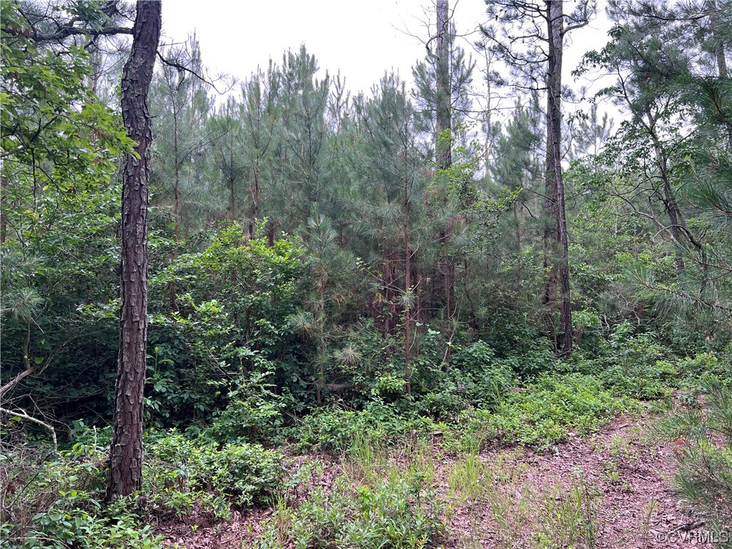 0 E River Rd
