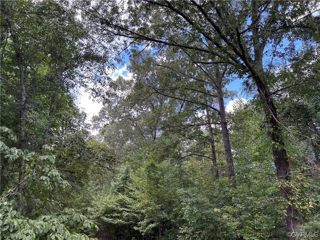 0 Reedy Mill Rd