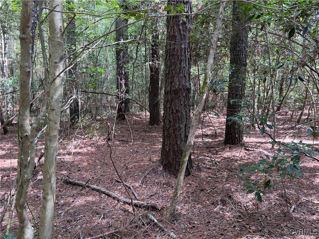 TBD Plantation Pl