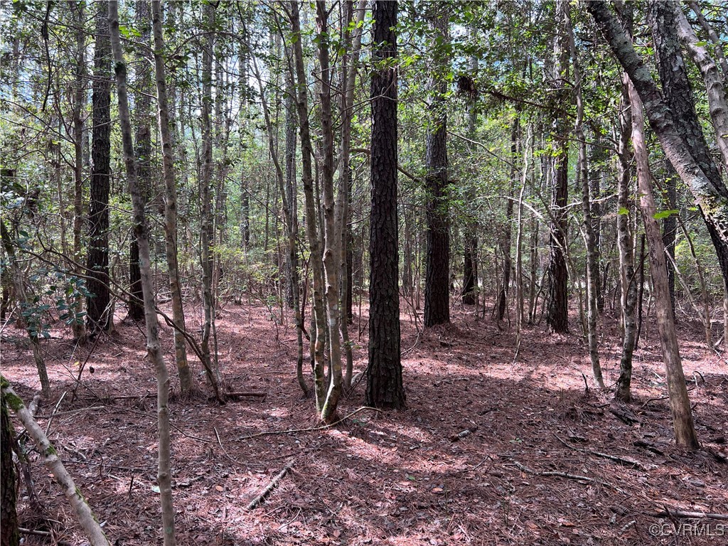 TBD Plantation Pl