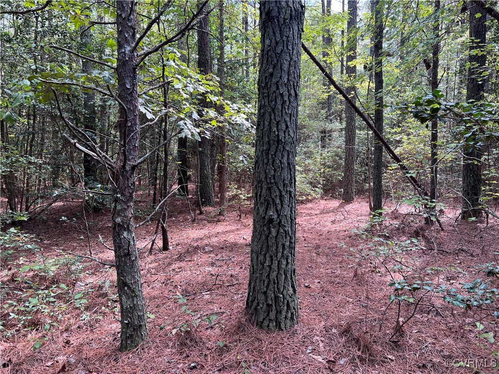 TBD Plantation Pl