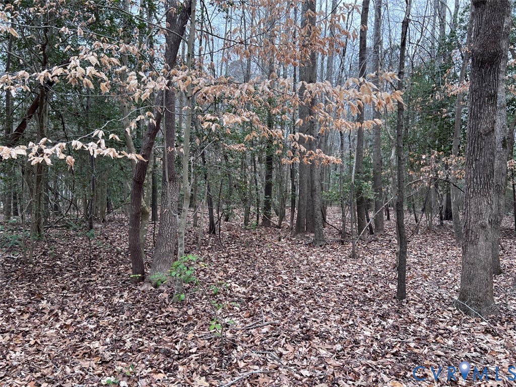 TBD Clarke Rd