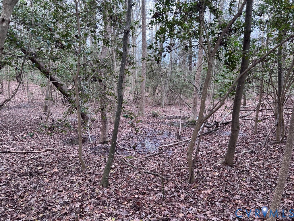 TBD Clarke Rd