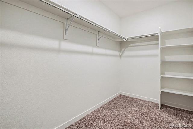 2305 Rosette Lane