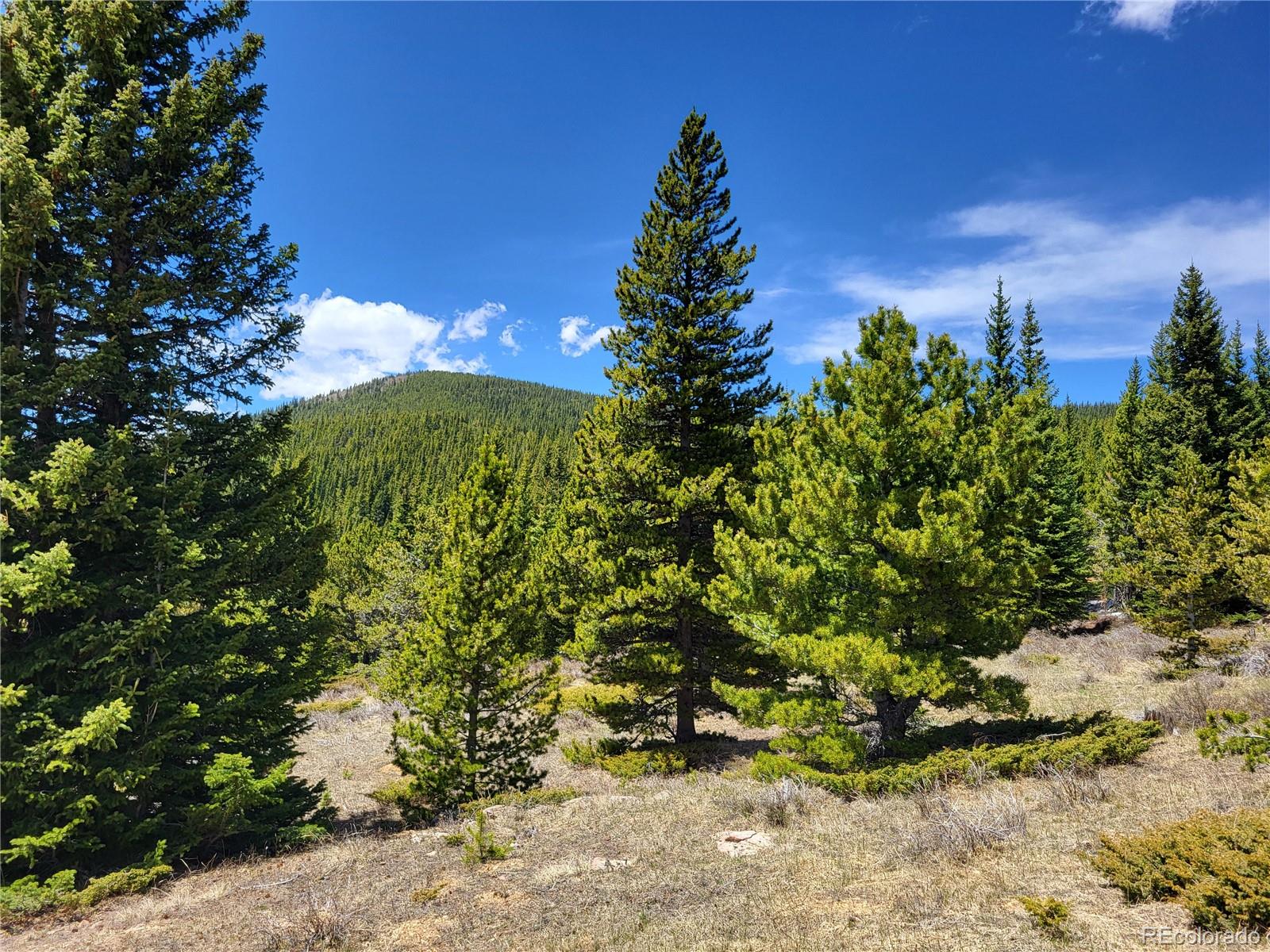 12702 Stewart Gulch Road