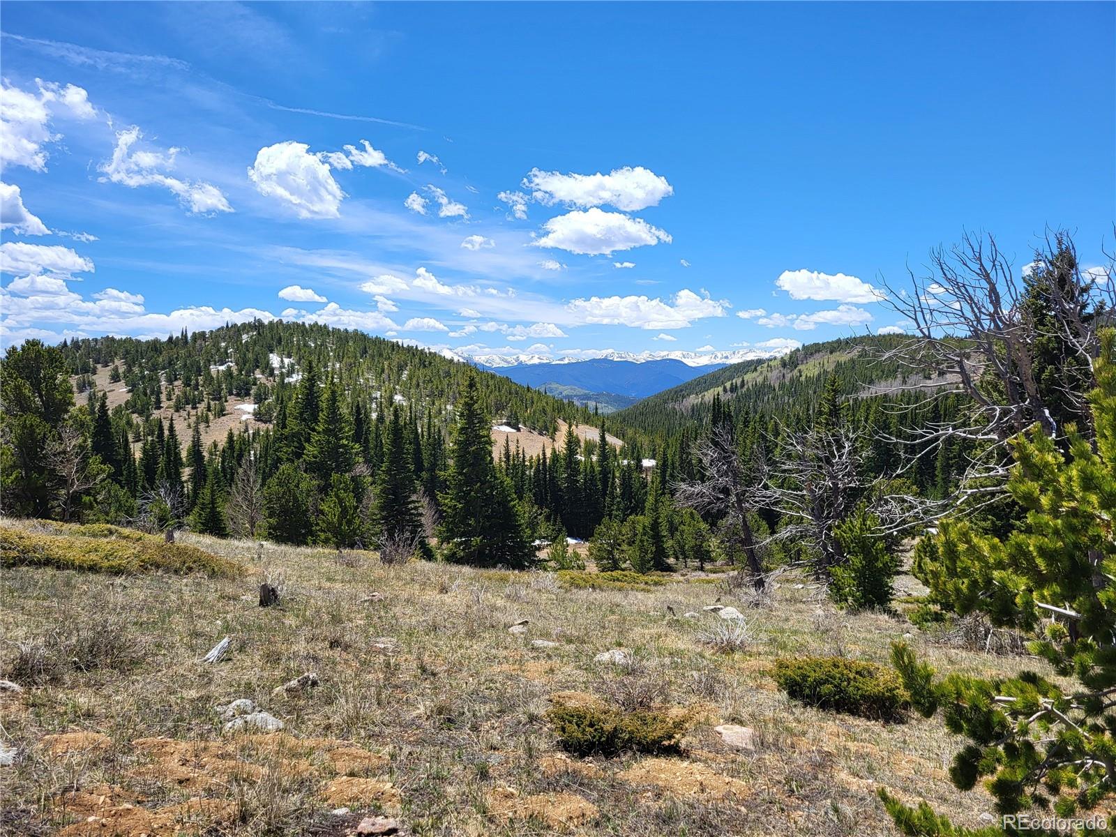 12702 Stewart Gulch Road