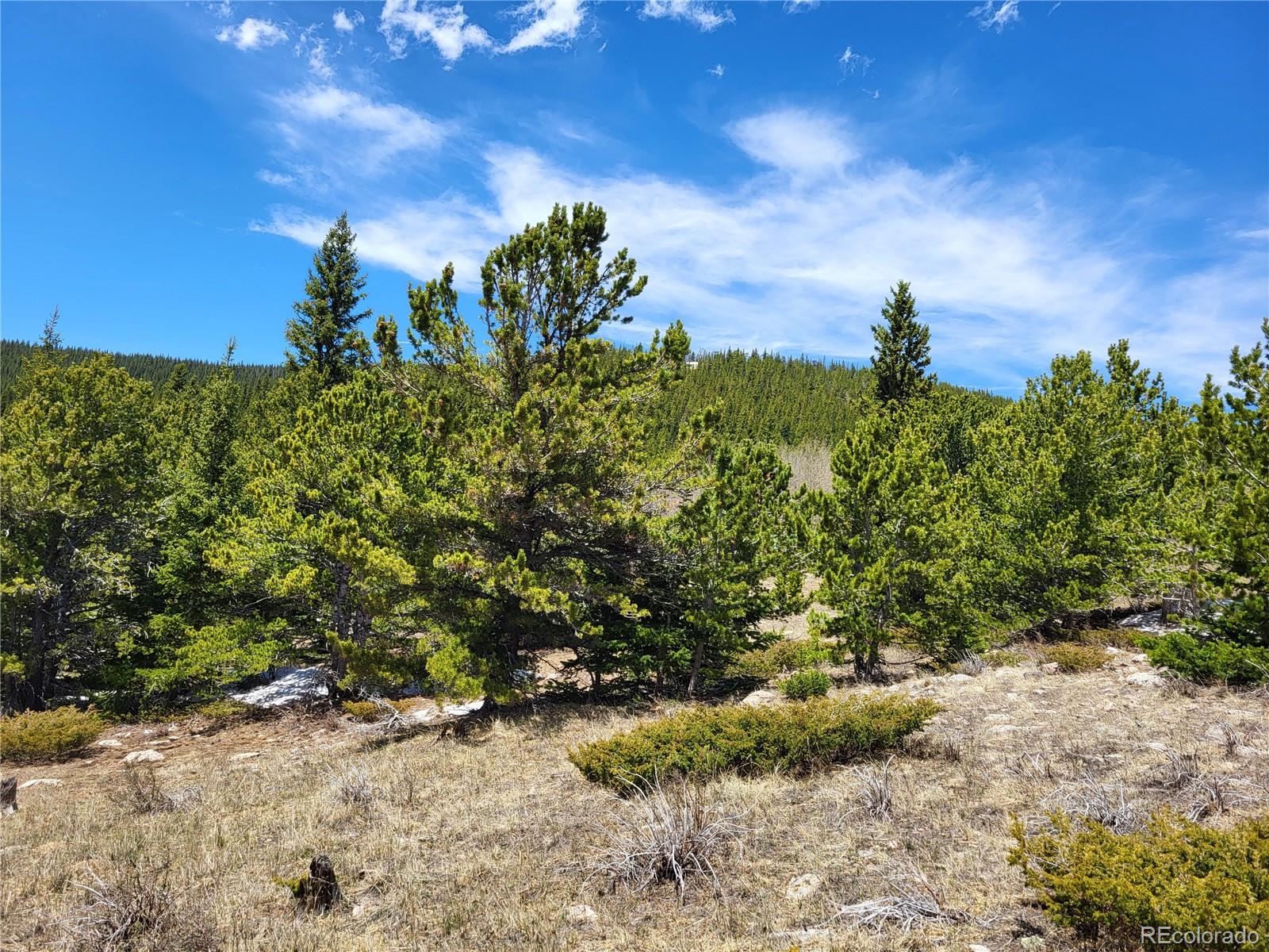 12702 Stewart Gulch Road