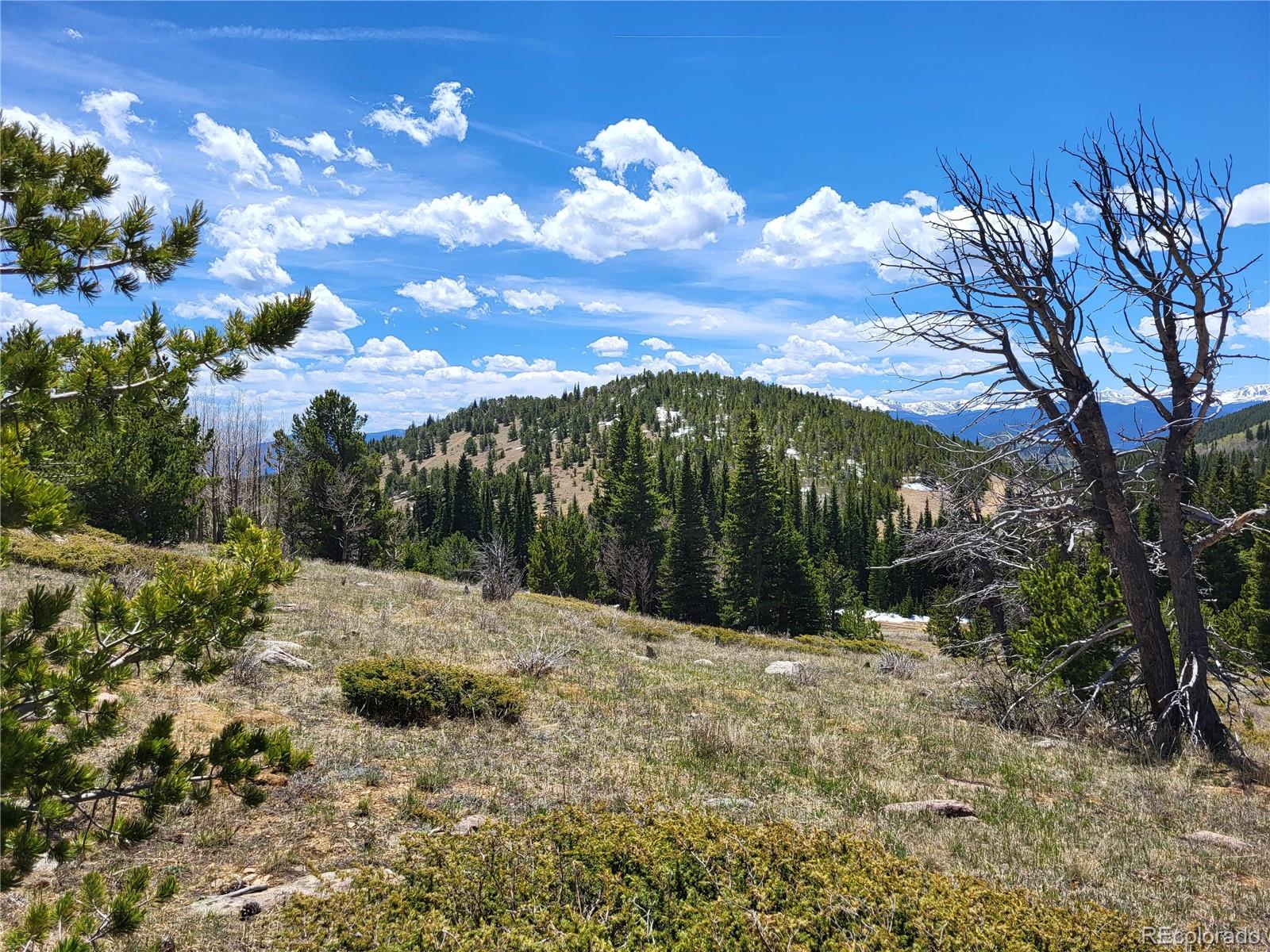 12702 Stewart Gulch Road