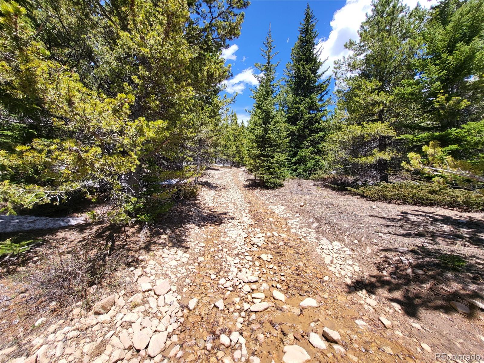 12702 Stewart Gulch Road