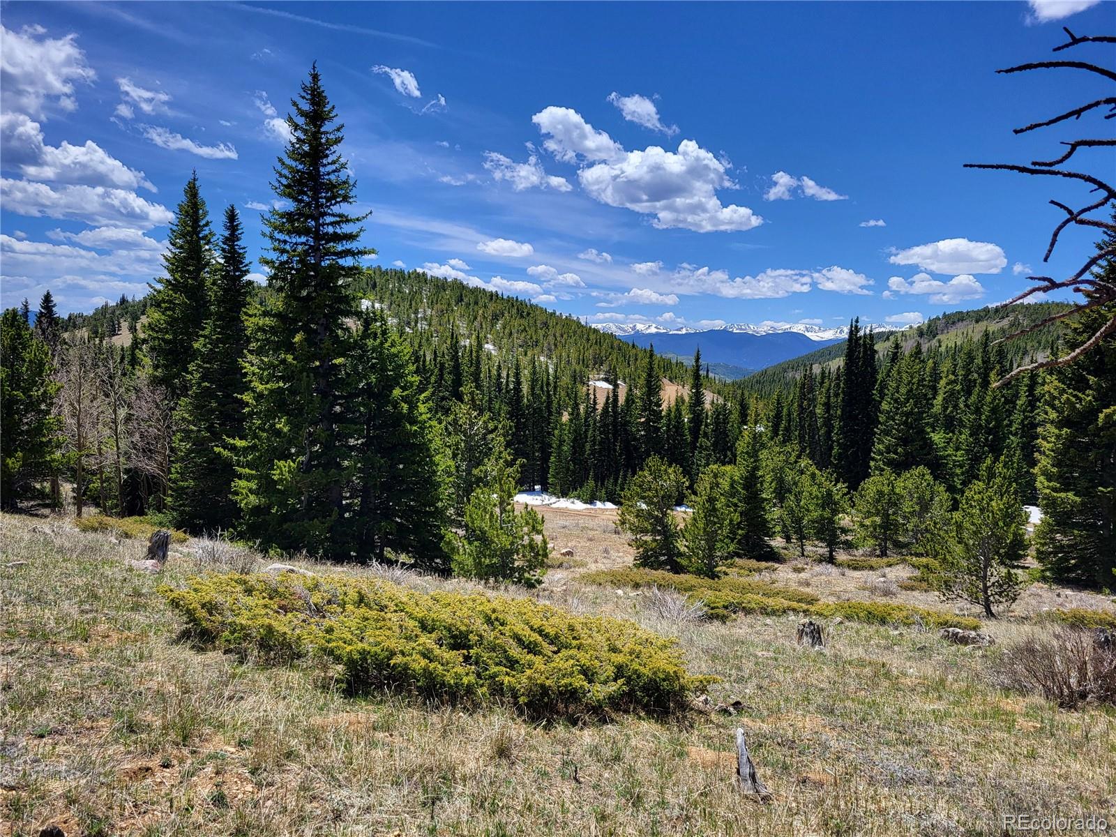 12702 Stewart Gulch Road