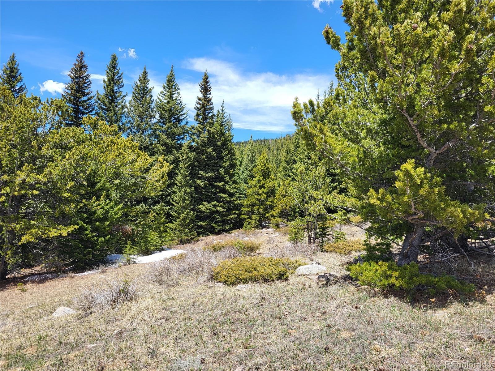12702 Stewart Gulch Road