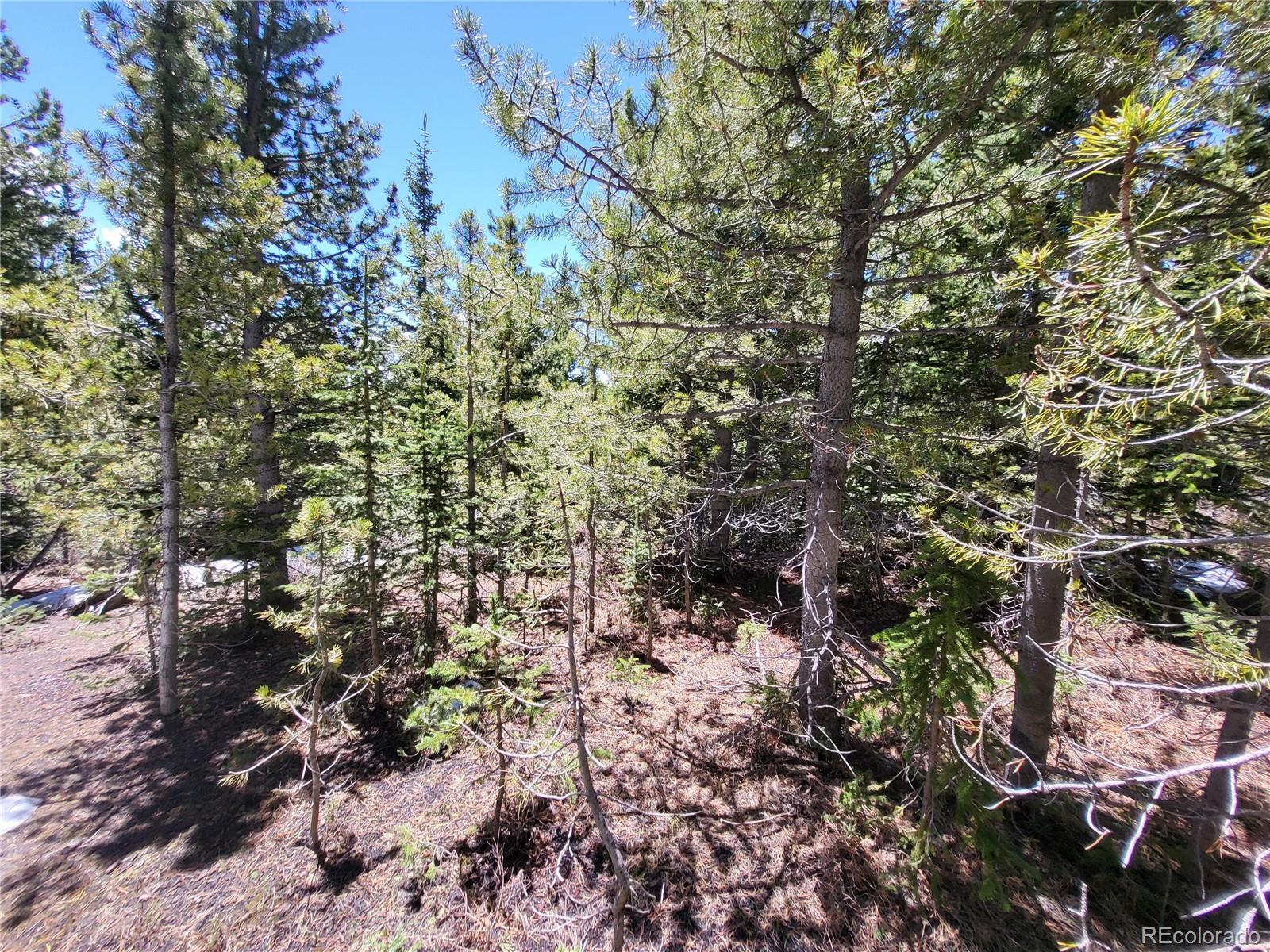 12702 Stewart Gulch Road