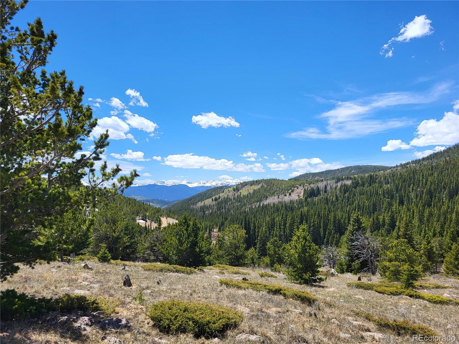 12702 Stewart Gulch Road
