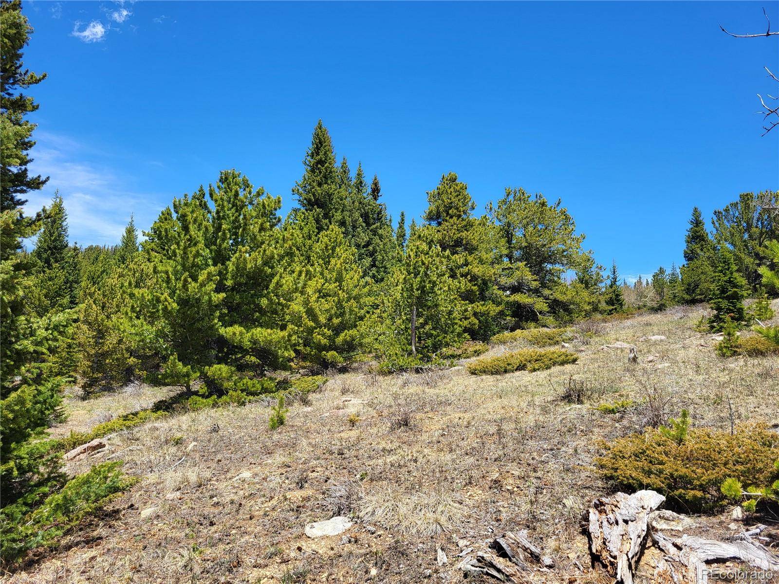 12702 Stewart Gulch Road