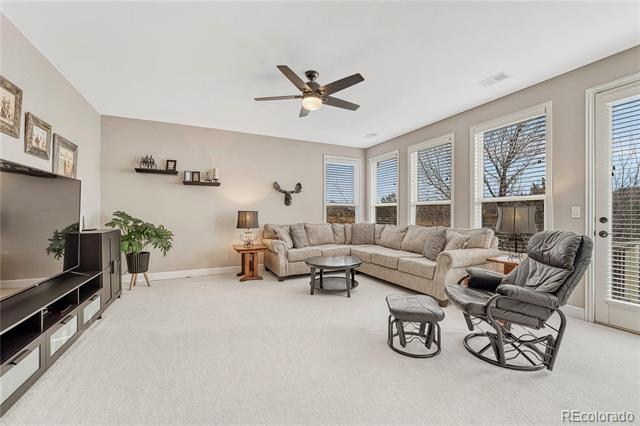 3163 Soaring Eagle Lane
