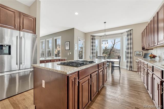 3163 Soaring Eagle Lane