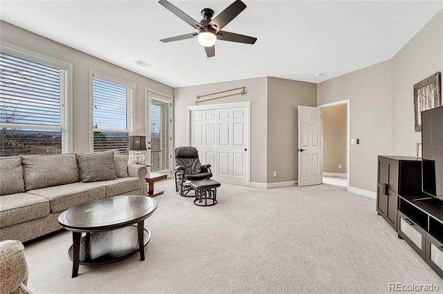 3163 Soaring Eagle Lane