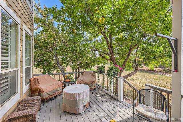 3163 Soaring Eagle Lane