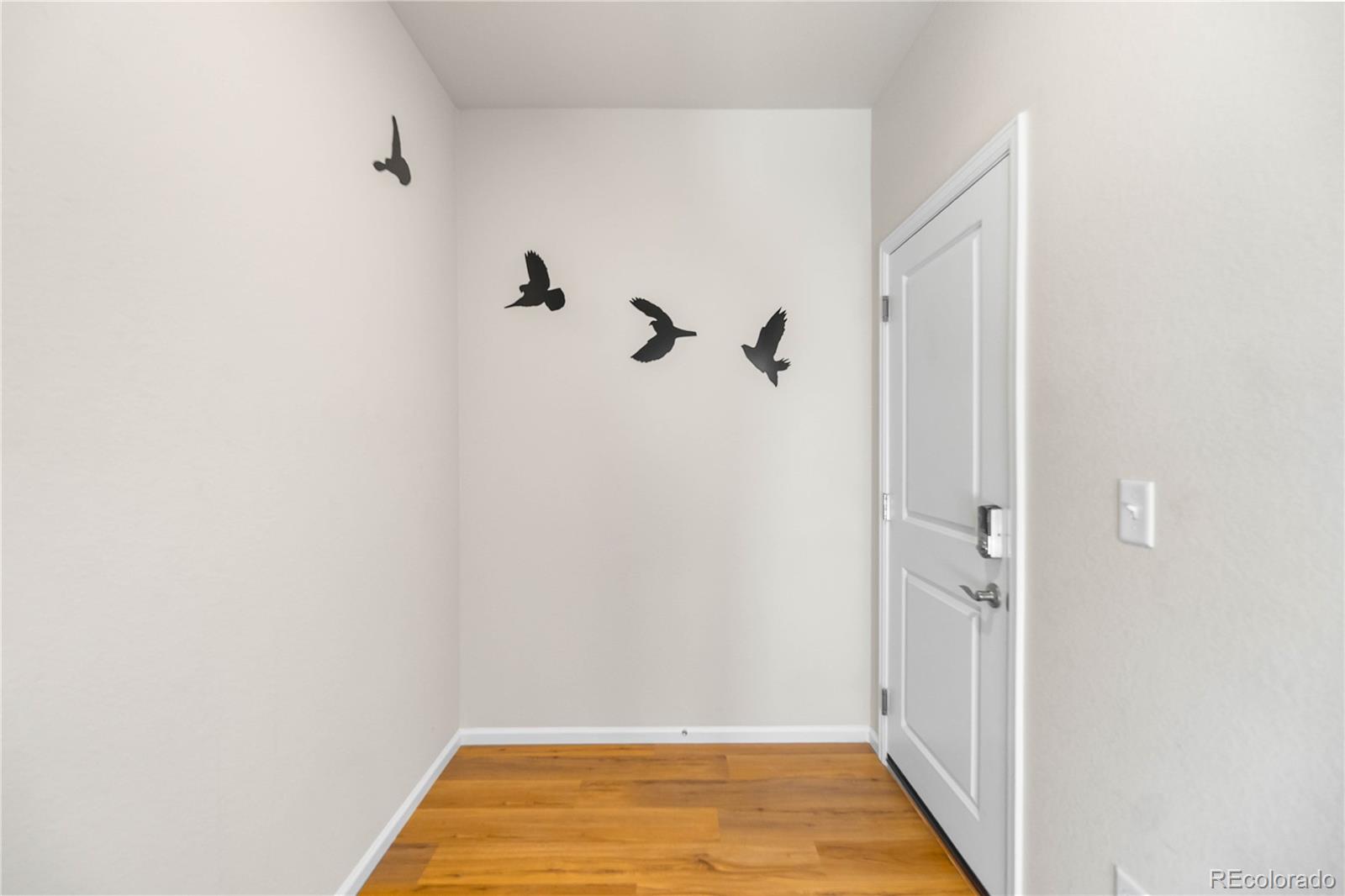 4505 Cholla Trail