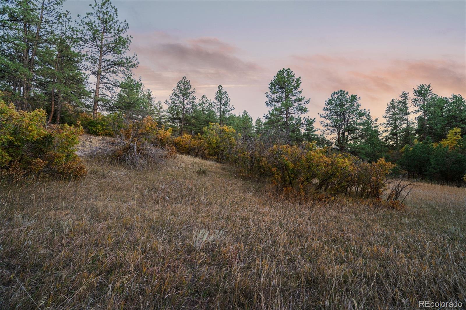11011 Sunset Oaks Place