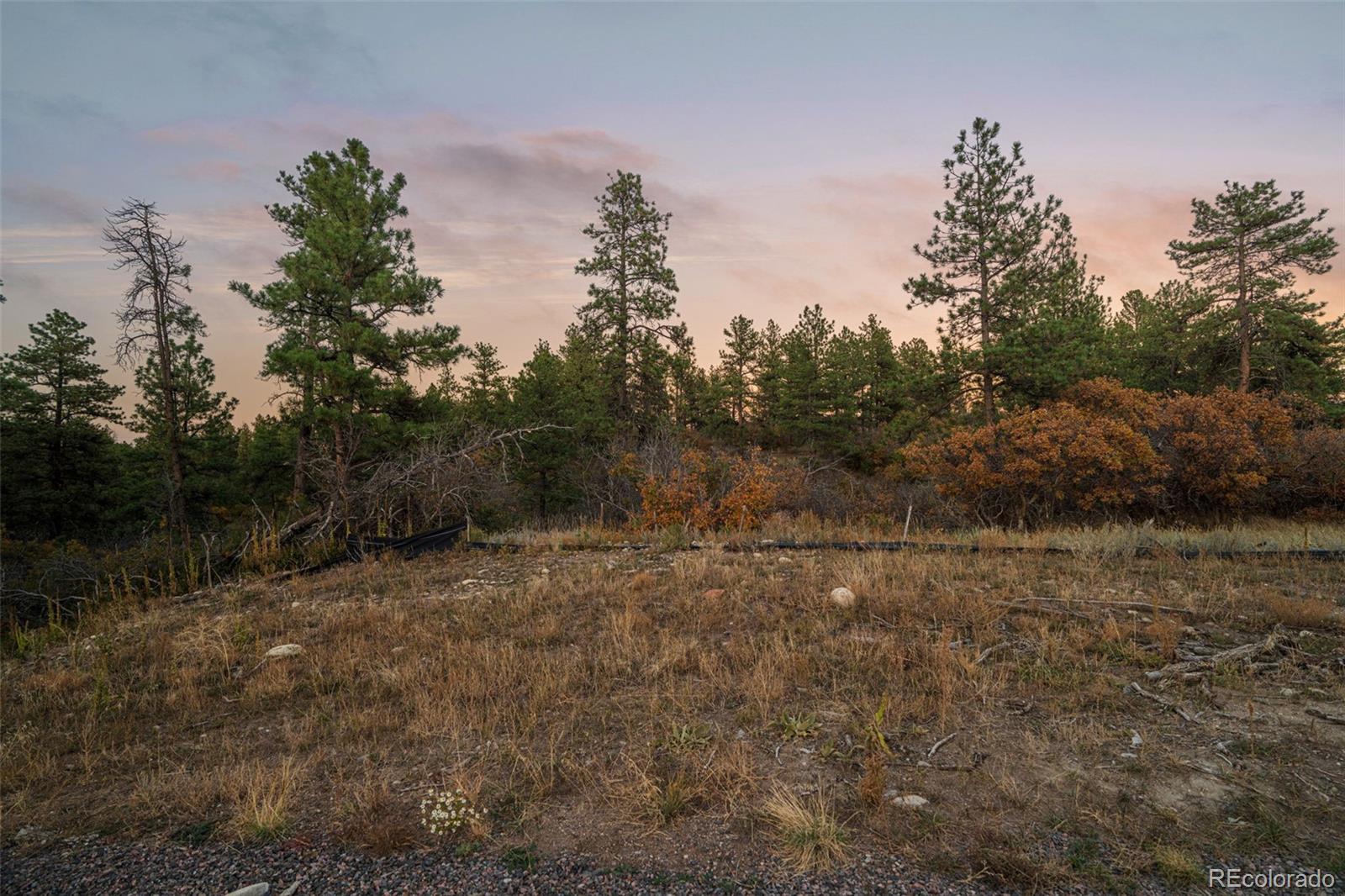 11011 Sunset Oaks Place