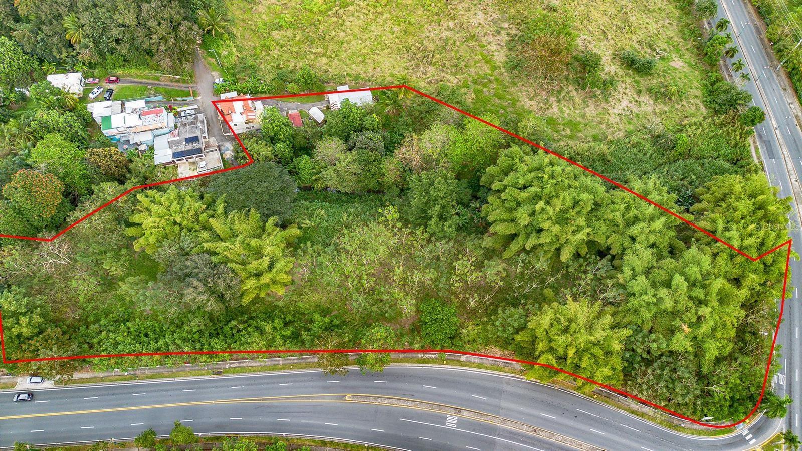 AVENIDA MUÑOZ MARÍN