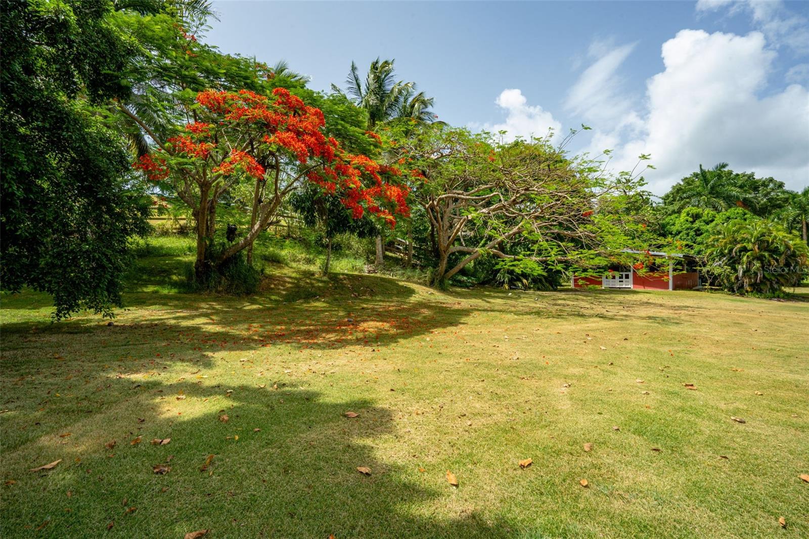 6 HACIENDA MARGARITA