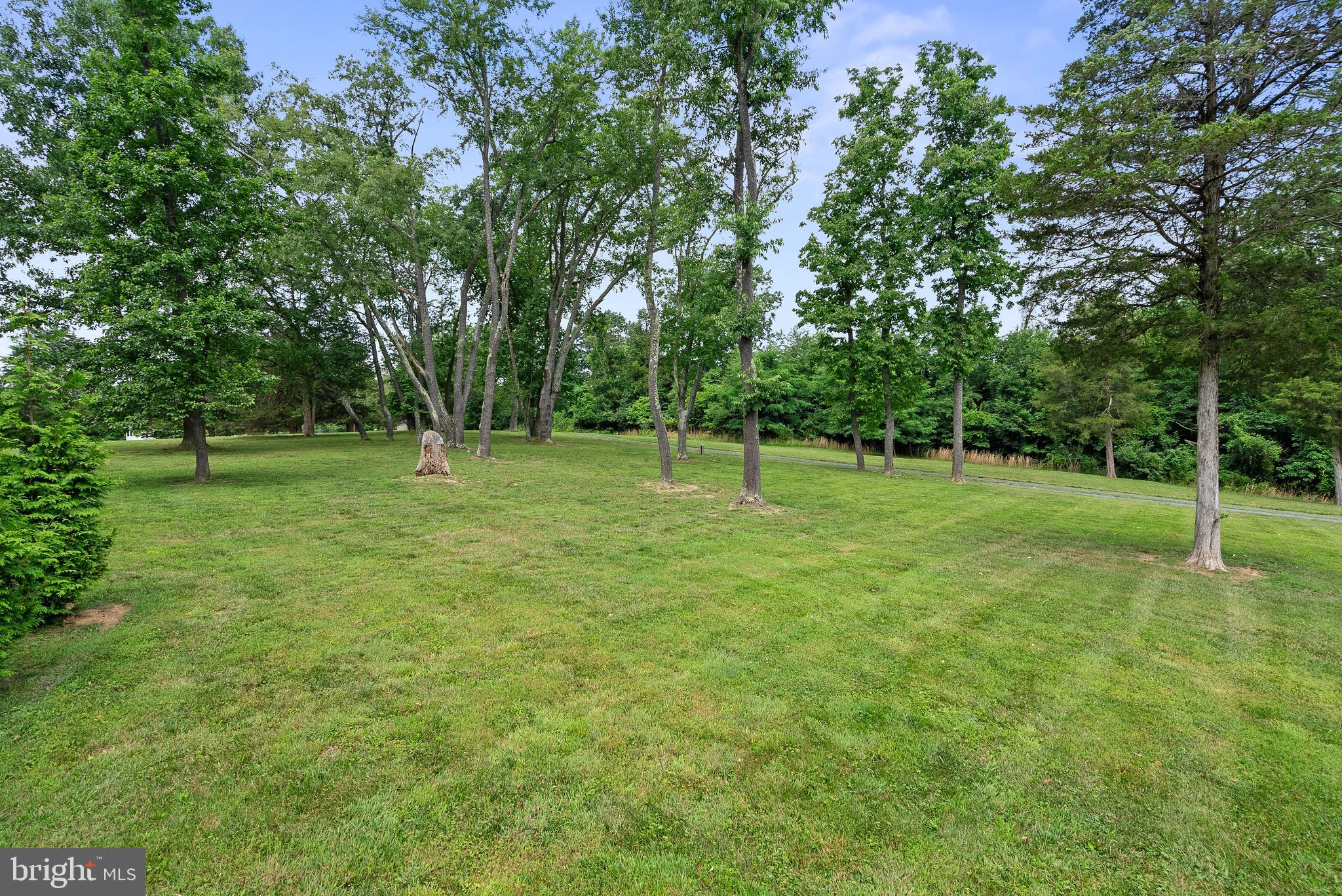 267 Shenandoah River Ln