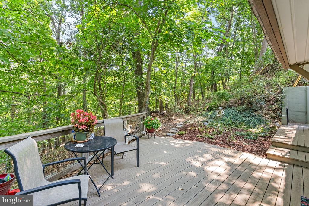 622 Timber Lane Timber Ln