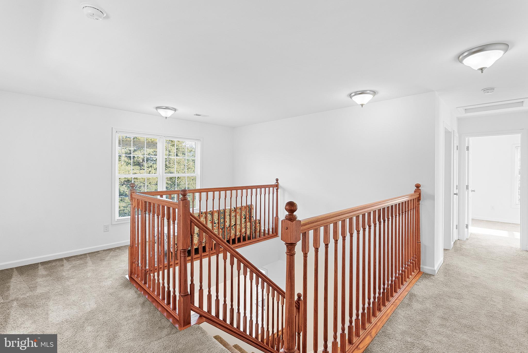 271 SHENANDOAH RIVER LN
