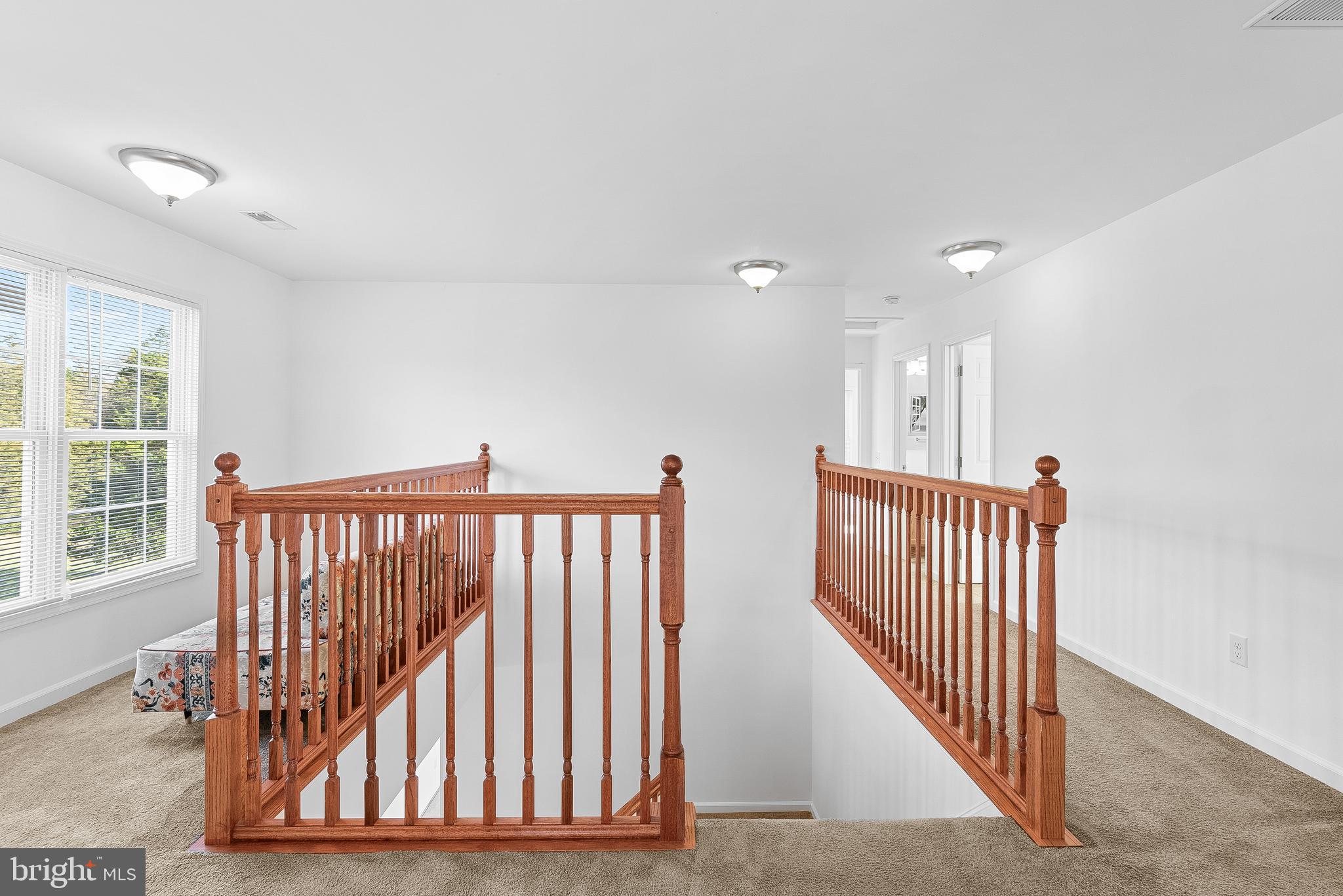 271 SHENANDOAH RIVER LN