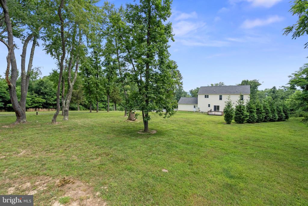 267 SHENANDOAH RIVER LANE